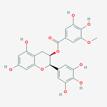 Picture of (-)-EGCG-3-O-Me(Standard Reference Material)