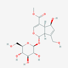 Picture of  6α-hydroxygeniposide(Standard Reference Material)