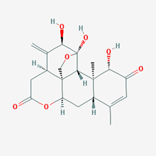 Picture of  Ailanthone(Standard Reference Material)