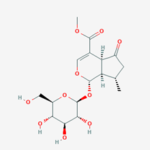 Picture of Verbenalin(Standard Reference Material)