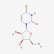 Picture of Uridine(Standard Reference Material)