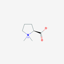 Picture of  Stachydrine(Standard Reference Material)