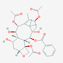 Picture of 13-Acetyl-9-dihydrobaccatin III(Standard Reference Material)