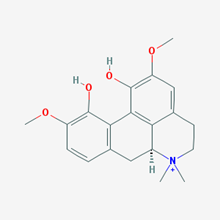 Picture of (+)-Magnoflorine(Standard Reference Material)