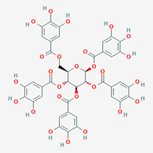 Picture of β-1,2,3,4,6-Pentagalloylglucose(Standard Reference Material)