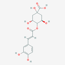 Picture of Cryptochlorogenic acid