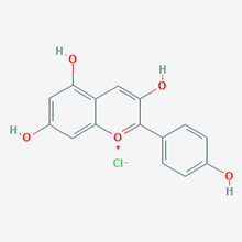 Picture of  Pelargonidin (Standard Reference Material)