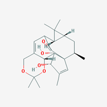 Picture of   Ingenol-5,20-acetonide(Standard Reference Material)