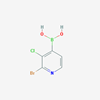 Picture of 2-Bromo-3-chloropyridine-4-boronic acid