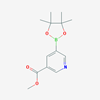 Picture of Methyl 5-(4,4,5,5-tetramethyl-1,3,2-dioxaborolan-2-yl)nicotinate