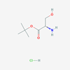 Picture of H-Ser-Otbu.HCl