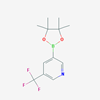 Picture of 3-(4,4,5,5-Tetramethyl-1,3,2-dioxaborolan-2-yl)-5-(trifluoromethyl)pyridine