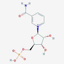 Picture of β-Nicotinamide mononucleotide