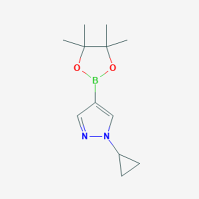 Picture of 1-Cyclopropyl-4-(4,4,5,5-tetramethyl-1,3,2-dioxaborolan-2-yl)-1H-pyrazole