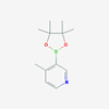 Picture of 4-Methyl-3-(4,4,5,5-tetramethyl-1,3,2-dioxaborolan-2-yl)pyridine