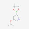 Picture of 3-Isopropoxy-5-(4,4,5,5-tetramethyl-1,3,2-dioxaborolan-2-yl)pyridine