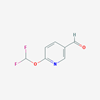 Picture of 6-(Difluoromethoxy)nicotinaldehyde