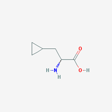 Picture of β-Cyclopropyl-D-Ala-OH
