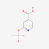 Picture of 2-(Trifluoromethoxy)isonicotinic acid