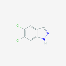 Picture of 5,6-Dichloro-1H-indazole