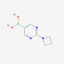 Picture of (2-(Azetidin-1-yl)pyrimidin-5-yl)boronic acid