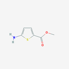 Picture of Methyl 5-aminothiophene-2-carboxylate