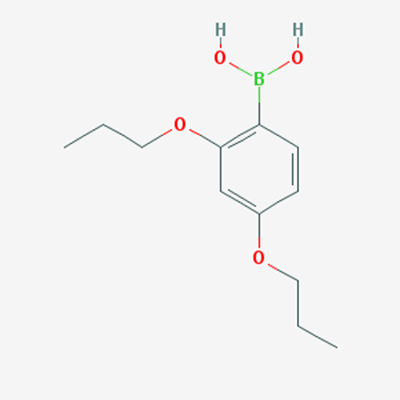 Picture of (2,4-Dipropoxyphenyl)boronic acid
