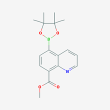 Picture of Methyl 5-(4,4,5,5-tetramethyl-1,3,2-dioxaborolan-2-yl)quinoline-8-carboxylate