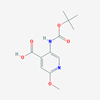 Picture of 5-((tert-Butoxycarbonyl)amino)-2-methoxyisonicotinic acid
