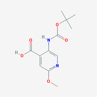 Picture of 5-((tert-Butoxycarbonyl)amino)-2-methoxyisonicotinic acid