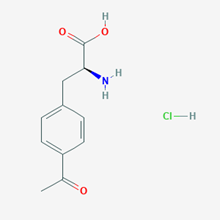 Picture of 4-Acetyl-L-phenylalanine Hydrochloride
