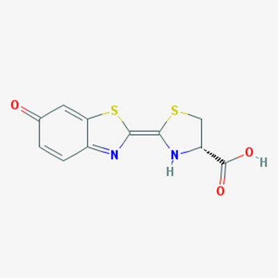 Picture of D-Luciferin