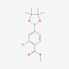 Picture of Methyl 2-chloro-4-(4,4,5,5-tetramethyl-1,3,2-dioxaborolan-2-yl)benzoate