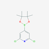 Picture of 2,6-Dichloro-4-(4,4,5,5-tetramethyl-1,3,2-dioxaborolan-2-yl)pyridine