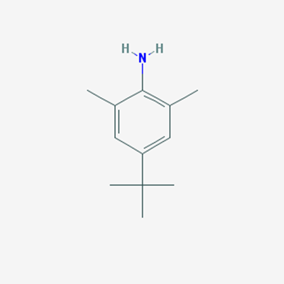 Picture of 4-(tert-Butyl)-2,6-dimethylaniline