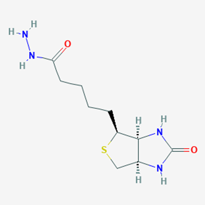 Picture of Biotin Hydrazide