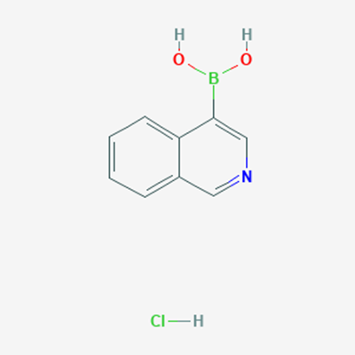 Picture of Isoquinoline-4-boronic acid hydrochloride