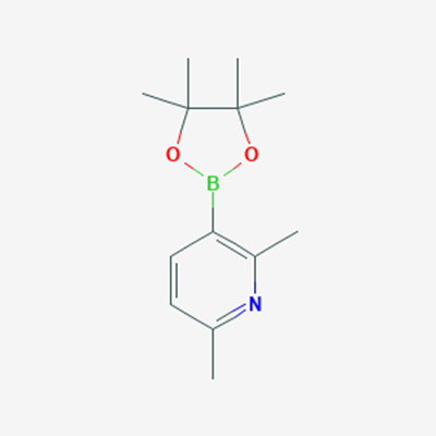 Picture of 2,6-Dimethyl-3-(4,4,5,5-tetramethyl-1,3,2-dioxaborolan-2-yl)pyridine