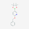 Picture of 2-(Benzyloxy)-5-(4,4,5,5-tetramethyl-1,3,2-dioxaborolan-2-yl)pyridine