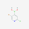 Picture of (5-Bromo-2-chloropyridin-4-yl)boronic acid