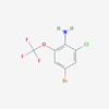 Picture of 4-Bromo-2-chloro-6-(trifluoromethoxy)aniline