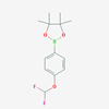 Picture of 2-(4-(Difluoromethoxy)phenyl)-4,4,5,5-tetramethyl-1,3,2-dioxaborolane