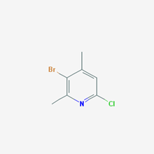 Picture of 3-Bromo-6-chloro-2,4-dimethylpyridine