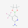 Picture of 5-(4,4,5,5-Tetramethyl-1,3,2-dioxaborolan-2-yl)-4-(trifluoromethyl)pyridin-2-amine