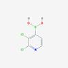 Picture of 2,3-Dichloropyridine-4-boronic acid