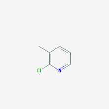 Picture of 2-Chloro 3-methylpyridine