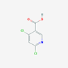 Picture of 4,6-Dichloronicotinic acid