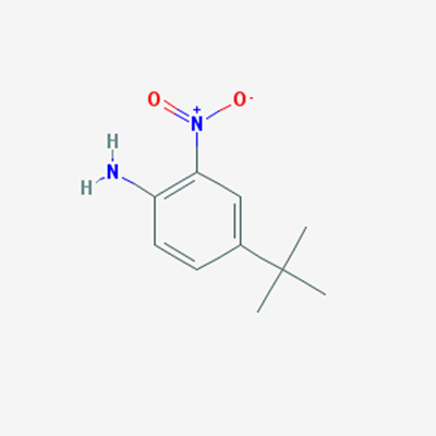 Picture of 4-(tert-Butyl)-2-nitroaniline