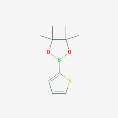 Picture of 4,4,5,5-Tetramethyl-2-(2-thienyl)-1,3,2-dioxaborolane