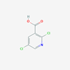 Picture of 2,5-Dichloronicotinic acid